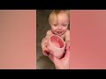 Cuteness Overload - The Best of Cute Baby Videos