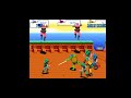 Teenage Muntant Ninja Turtles: Turtles in Time - Leo Full Game