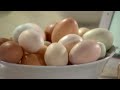 How to Make Martha Stewart's Homemade Mayonnaise | Martha's Cooking School | Martha Stewart