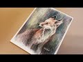 Nicole Groot Fox Colored Pencil -  Timelapse