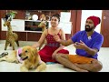 A Day With My Pets ||  Yash Adda || Yash Dance