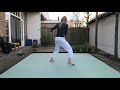 Aikido at home: solo training