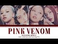 BLACKPINK - 'Pink Venom' M/V