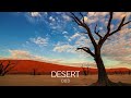 Desert Music  - Arabian Oud - Meditation in Desert, Arabian Flute & Arabian Duduk