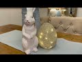 Step Inside My Glamorous Easter Home Tour 2024 | Inspiring Easter Decor Ideas By Chellesglamhome