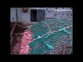 m/v Ran - Full codend of Red Fish