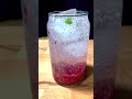 Healthy Raspberry Mint Summer Soda 🍃🥤