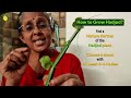 Hadjod/Pirandai:  Best of Calcium rich foods for Bones in India