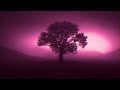 Dawn // Dreamy Ambient Music - 1 HOUR