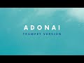 ADONAI (TRUMPET VERSION) | NATHANIEL BASSEY