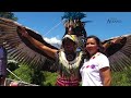 This dance will give you vertigo  (TRADITIONAL AND PREHISPANIC DANCE FROM MEXICO)