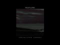 Irradiated Shores (album teaser) [Guitar-based Dark Ambient, Noise]