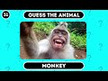 Guess the ANIMAL by Emoji? 🐶 | Emoji Quiz