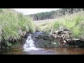 10 Hour Nature Sounds - Running Stream - Autumn Nature - Mindfulness- Study And Sleep Sounds - Water