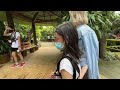 Best Zoo Manila Philippines: Avilon Zoo Full Walking Tour Rodriguez Rizal 2022 | Leopard | Giraffe