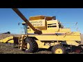 NEW HOLLAND TR99 Combine Harvesting Corn