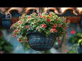 Transform Your Small Garden with Mediterranean Pergola Designs
