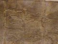 Assyrian Royal lion hunt friezes from Nineveh in the British Museum, London