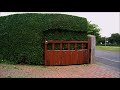 Trimming a Privet hedge