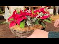 Christmas wreath 【Planting for Poinsettia】