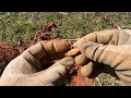 Metal detecting and exploring my favorite farm in the world! History Beneath Our Feet