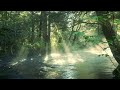 Halcyon - A Feel-Good Relaxation Mix | 4K video