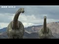 Baby Tambatitanis vs Tyrannosaurus - DINOSAURS
