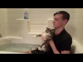How to wash your cat