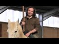 Knight's sword: How did a knight use his sword when on a horse? (I demonstrate from horseback.)