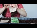 #Shorts Starting Floret Flower Farm Seeds: Snapdragons, Lace Flowers, Yarrow | Growing Home & Garden