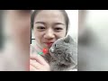 Having a cat will change your life 😅 New funny animals 2024 😂