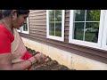 అమెరికాలో మా ఇంటి వ్యవసాయం.! Home farming in USA