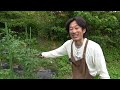 畑の現状がヤバい【カーメン君の畑】【家庭菜園】【園芸】【ガーデニング】