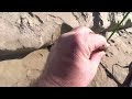 First Day Metal Detecting With The MINELAB EQUINOX 900!!