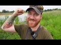 I CAUGHT IT! This Beautiful Koi Was About To Dry UP (Fish Rescue)