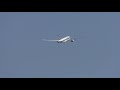 [4K] SINGAPORE AIRLINES A350-941 (9V-SMN + 9V-SMV) / TAXI + TAKE OFF / PARIS CDG AIRPORT