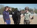 Horse Archery - Challenge Esme AD | This Esme