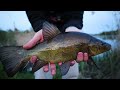 Insane Tench Fishing Action On The FLOAT -Waggler Fishing