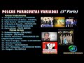 Polcas Paraguayas Variadas (3º Parte) - HB ENGANCHADOS MUSICALES
