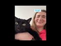 NEW Cat Videos 2024 😹 Funny Cat Videos − Funny Cats