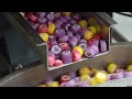 사탕공장 Amazing Fruit Candy Making Process - Candy Factory in Korea