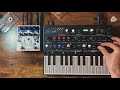 How To Build An Ambient Synth Patch On The Arturia Microfreak