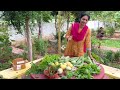 Farm Harvest/ ఆకు కూరలు , కూరగాయల హార్వెస్ట్  @MADGARDENER