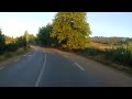 Path between trees at sunrise الطريق بين الاشجار في شروق الشمس