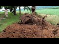 Putting the trenching bucket to the test as a stump bucket  have a special film crew for this one 😀