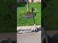 Driving my electric scooter part 2
