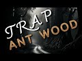 Ant Wood// Trap// Easy Beat