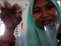 2018 Kelas Anne Latifah (Kedudukan Sn berbanding Zn dan Cu)