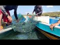 menangkap Ribuan Ikan buat makan sekampung