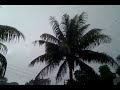 1 minute rain video